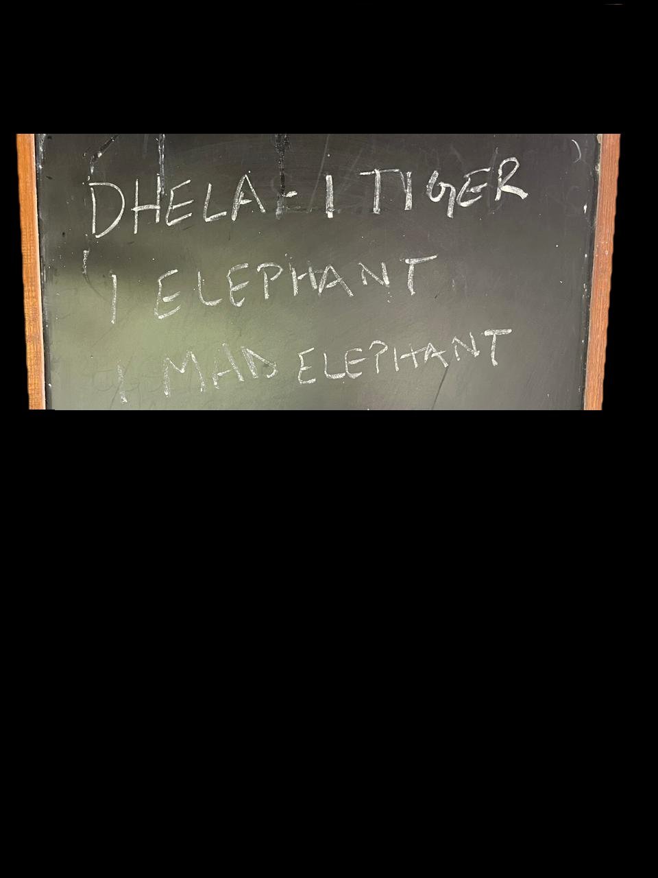 Dhela sightings board