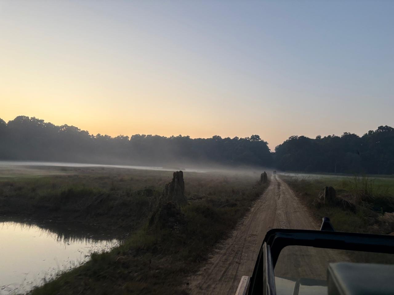 Misty meadow at sunrise Dudhwa