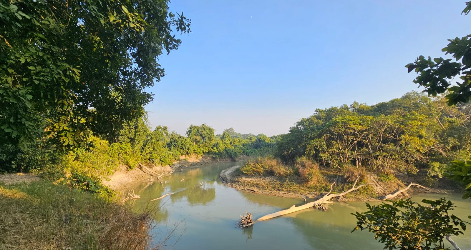 River at Dudhwa