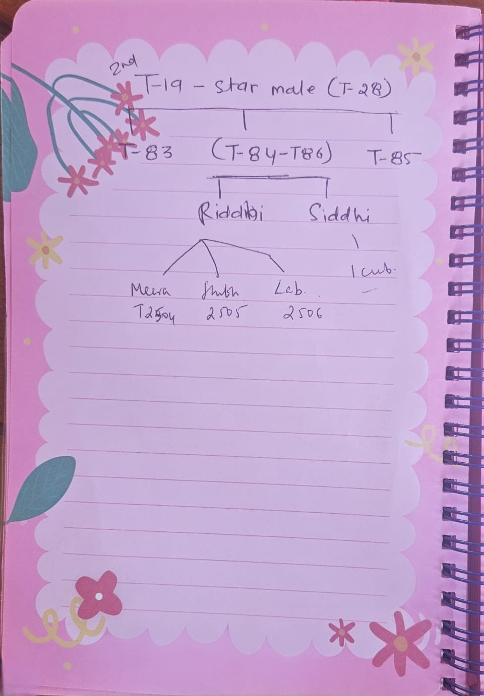 The Ridhi Branch