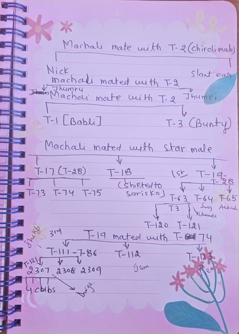 Machli's Family Tree (my notes)