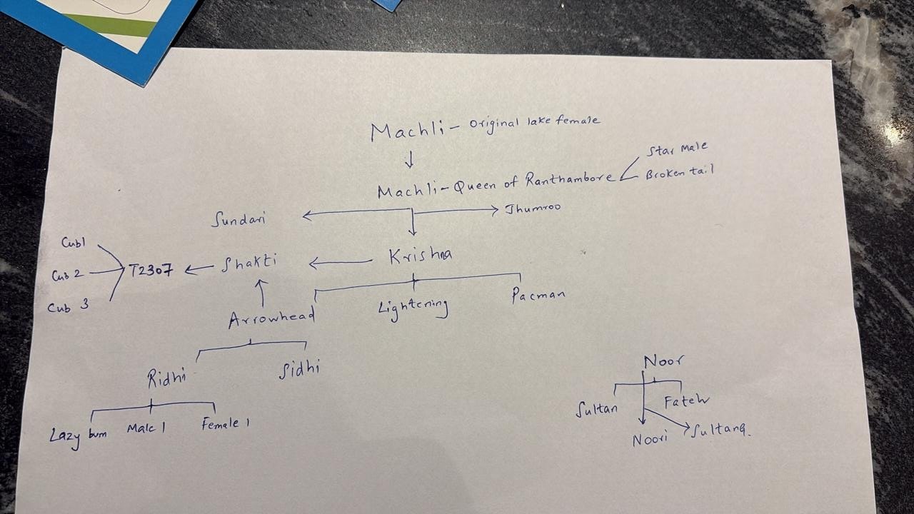 The Big Family Tree