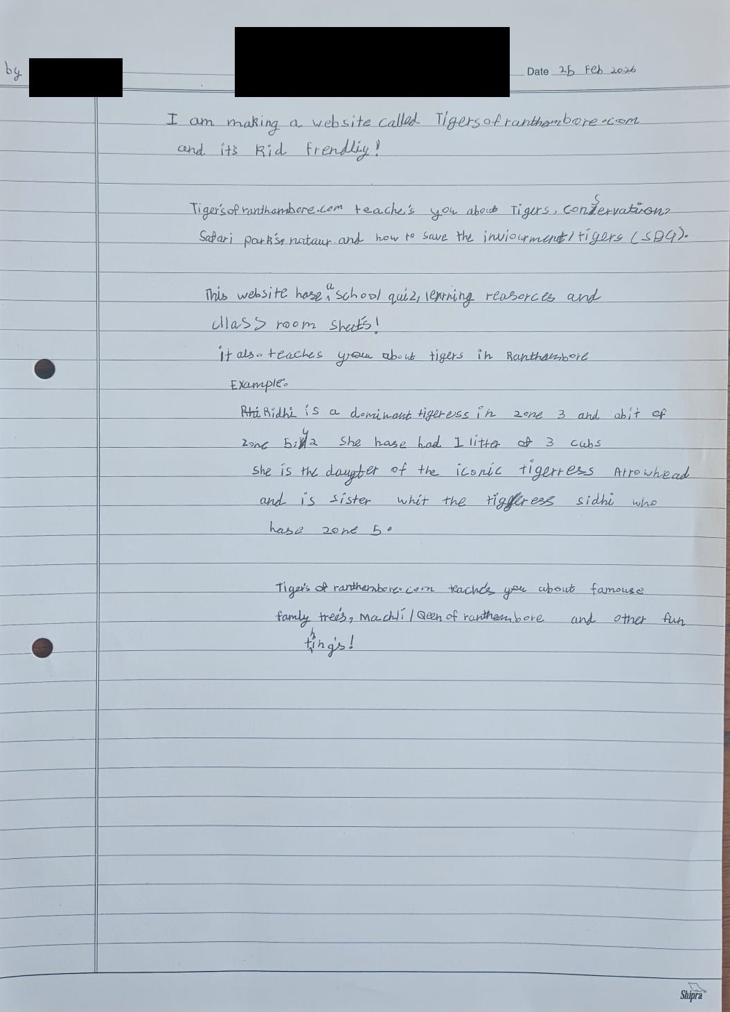 Writing About Our Website