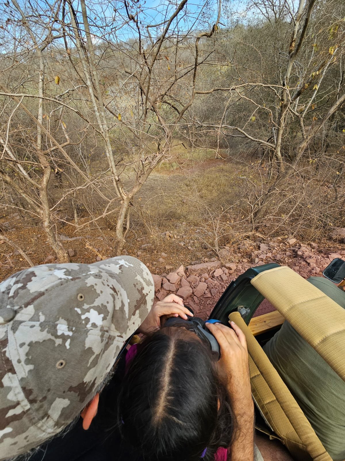 Looking for tigers in Ranthambore